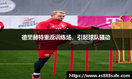 yy体育