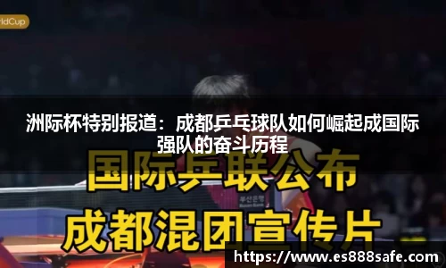 yy体育