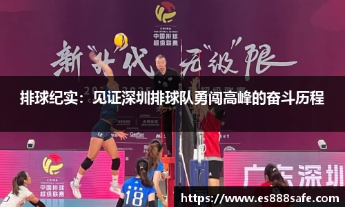 yy易游体育