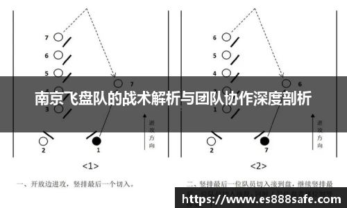 南京飞盘队的战术解析与团队协作深度剖析