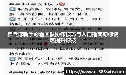 乒乓球新手必看团队协作技巧与入门指南助你快速提升球技