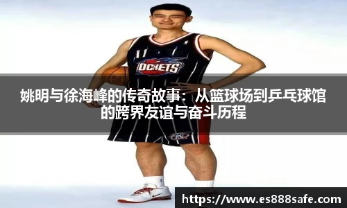 yy体育