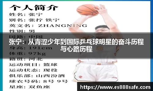 易游体育