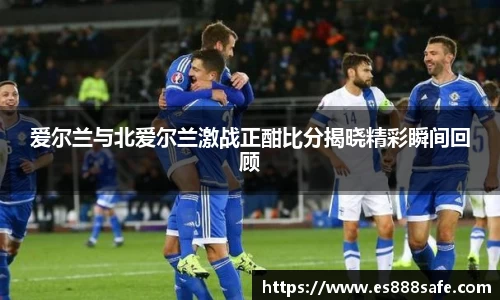 爱尔兰与北爱尔兰激战正酣比分揭晓精彩瞬间回顾