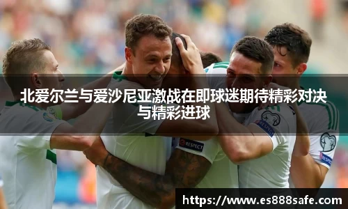 北爱尔兰与爱沙尼亚激战在即球迷期待精彩对决与精彩进球