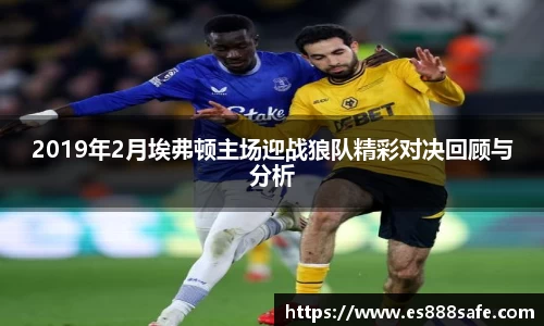2019年2月埃弗顿主场迎战狼队精彩对决回顾与分析