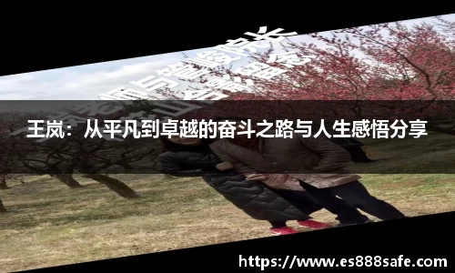 王岚：从平凡到卓越的奋斗之路与人生感悟分享